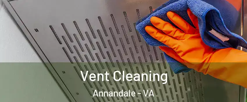  Vent Cleaning Annandale - VA