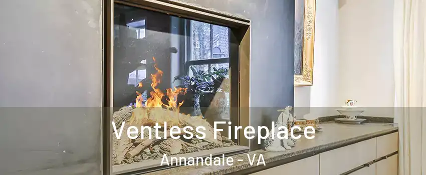  Ventless Fireplace Annandale - VA